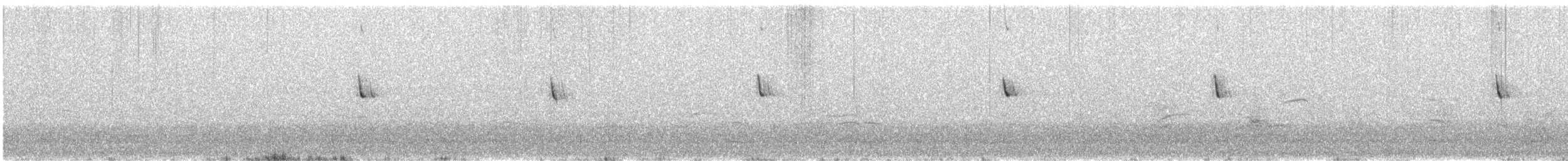 Spioncello marino - ML638390753