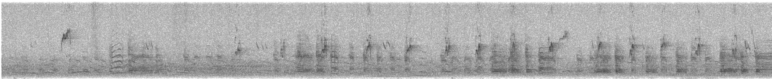 Spioncello marino - ML638390754