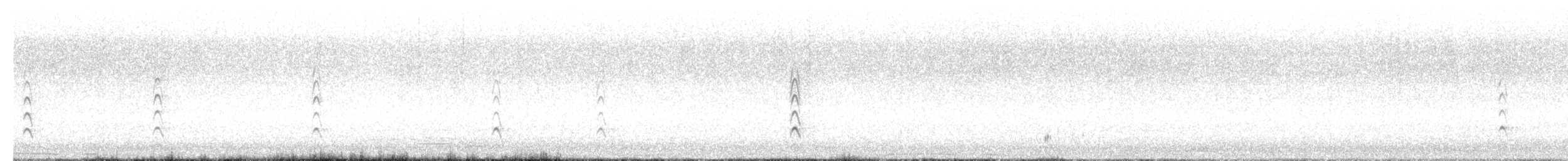 Black-tailed Godwit (Icelandic) - ML638391071