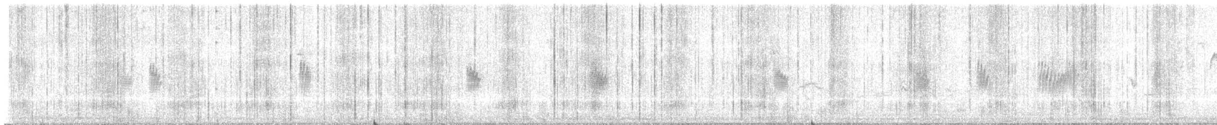 Northern Rough-winged Swallow - ML638391638