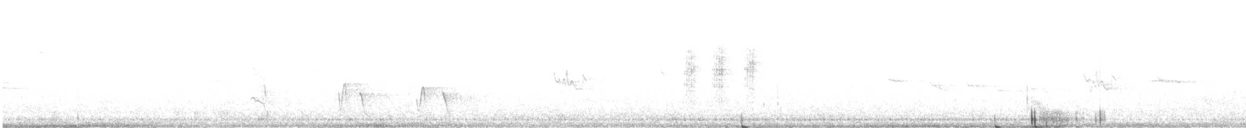 オーストラリアメンガタカササギビタキ - ML638392767