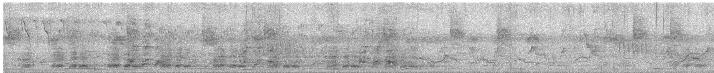 Plain Chachalaca - ML638394551