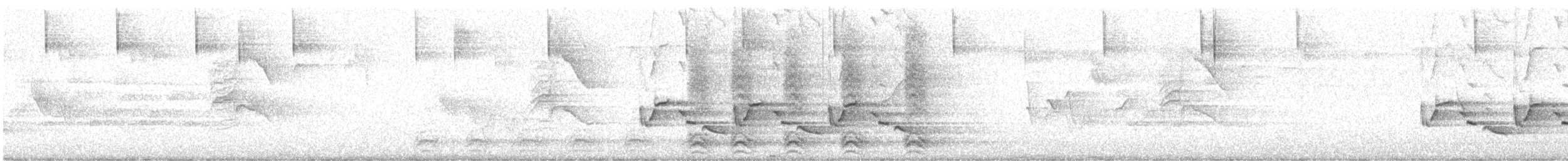 Carolina Wren - ML638394598