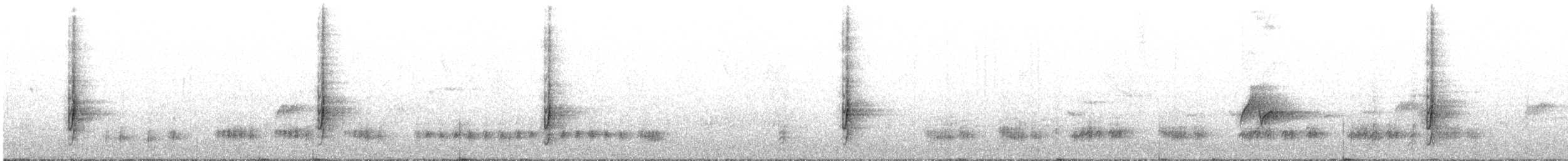 Square-tailed Drongo - ML638394674