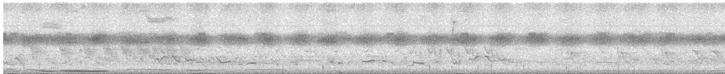 White-tipped Dove - ML638394819