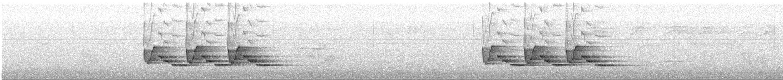 Troglodyte de Caroline - ML638395422