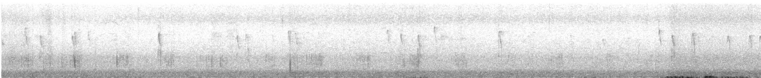 Varied Sittella (Orange-winged) - ML638395553
