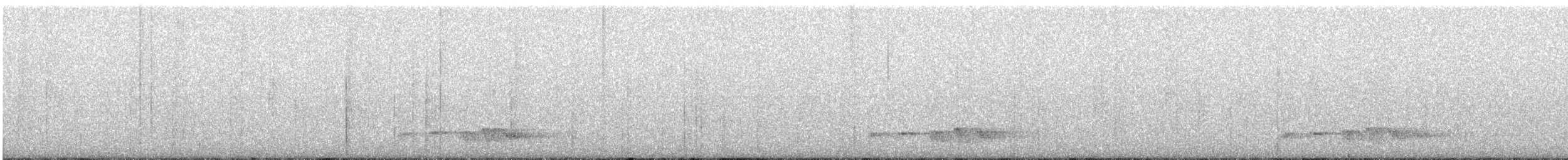 Lesser Cuckoo - ML638395856