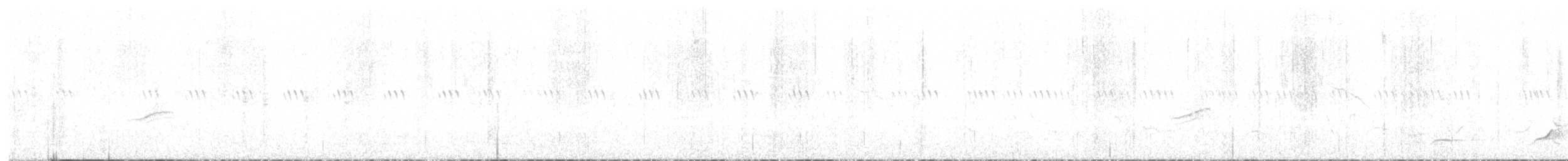 Northern Bobwhite - ML638396066