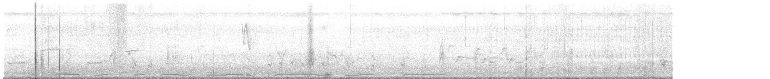 קיכלי נודד - ML638396138
