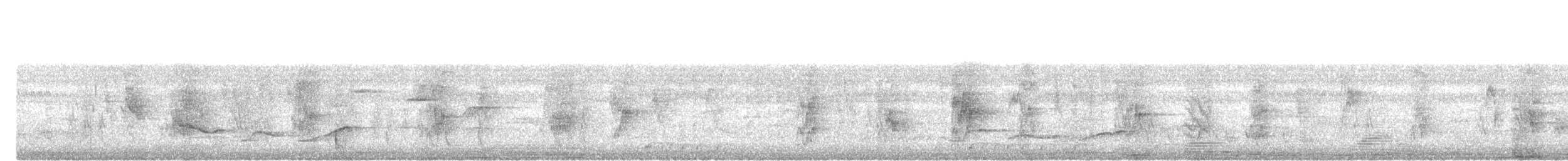 Abbott's Babbler - ML638396875