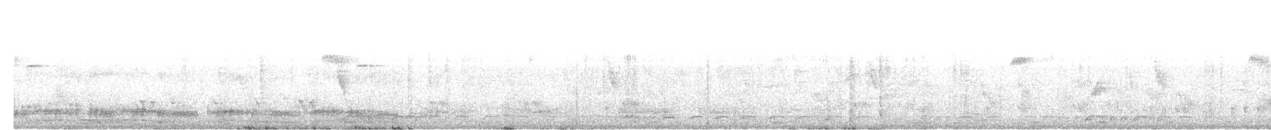 White-breasted Waterhen - ML638396935