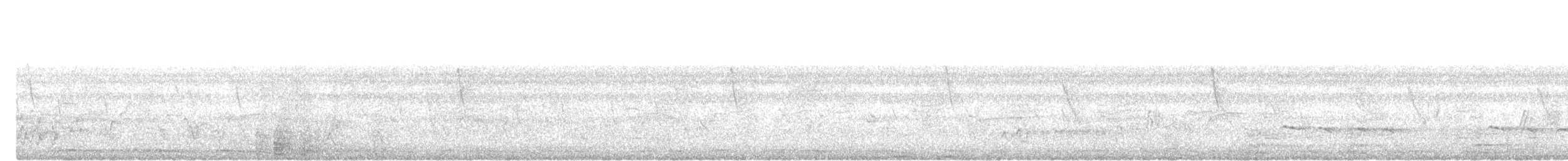 Banded Bay Cuckoo - ML638396948
