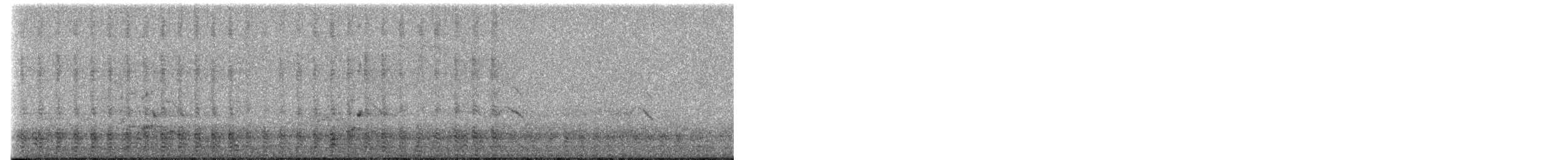 Maned Duck - ML638397305