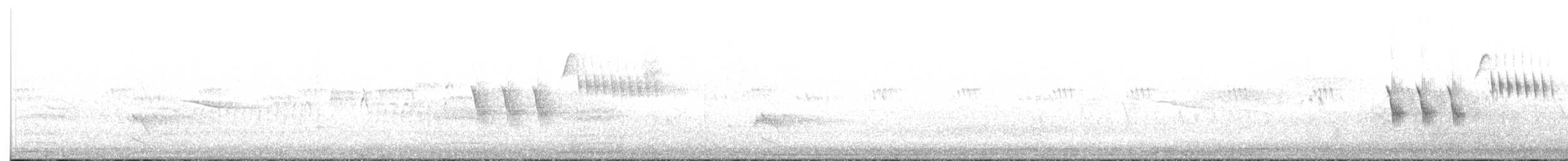 Western Wood-Pewee - ML638397354