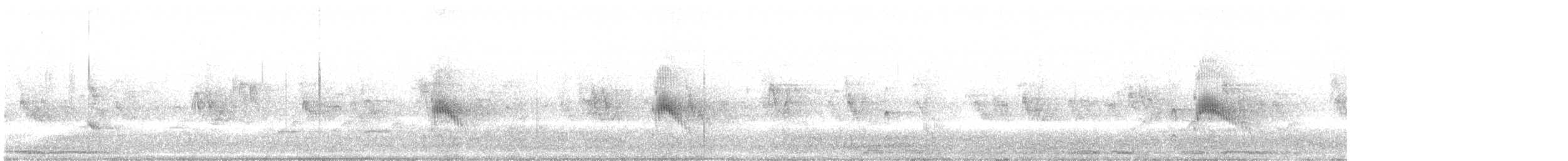Couch's Kingbird - ML638397616