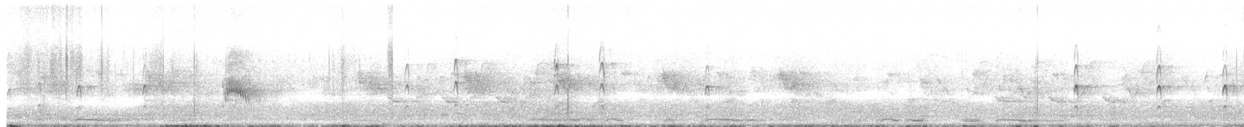 Couch's Kingbird - ML638397639