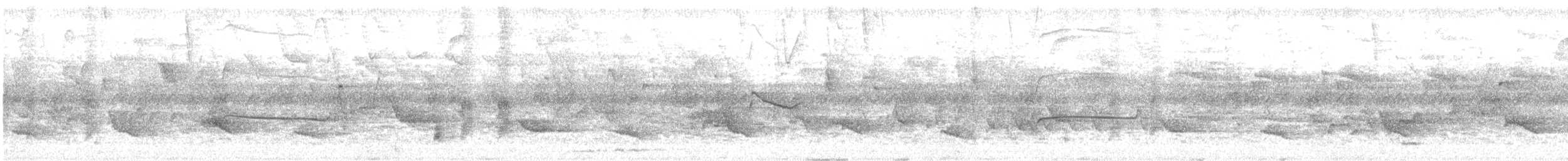 Social Flycatcher - ML638397641