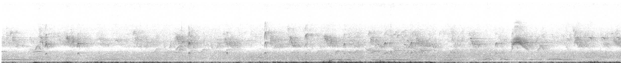 Couch's Kingbird - ML638397645
