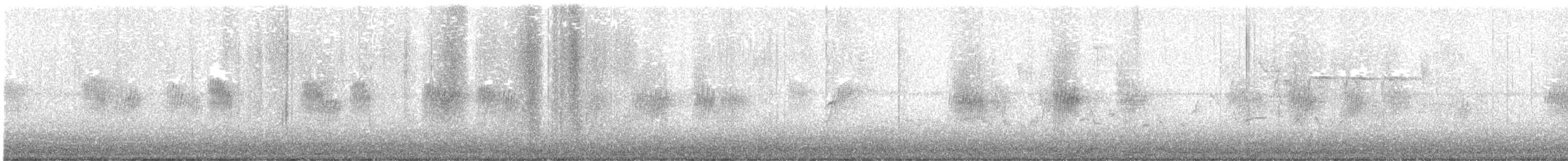 Northern Rough-winged Swallow - ML638397826