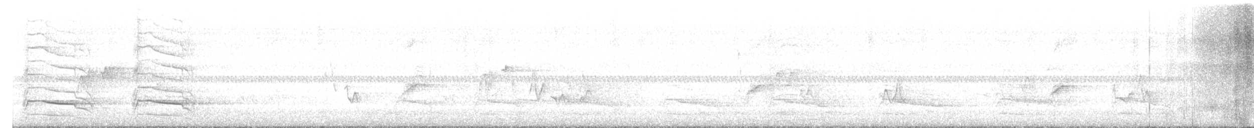 Red-shouldered Hawk - ML638398599