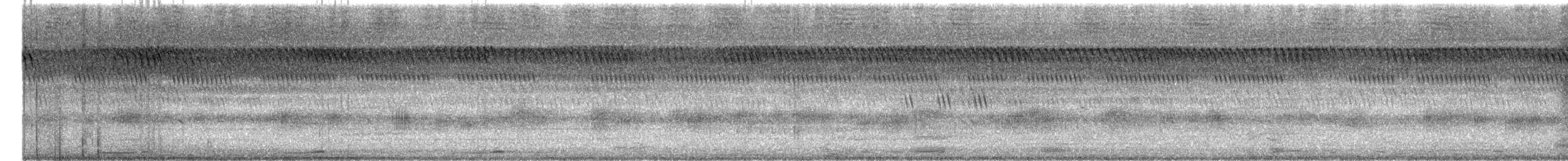 Ninoxe hirsute - ML638399355