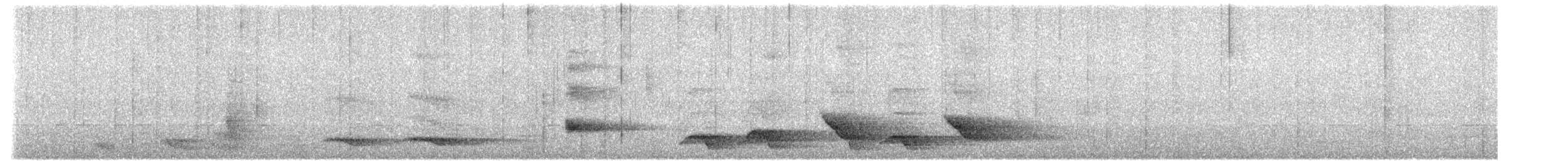 Albert's Lyrebird - ML638400176