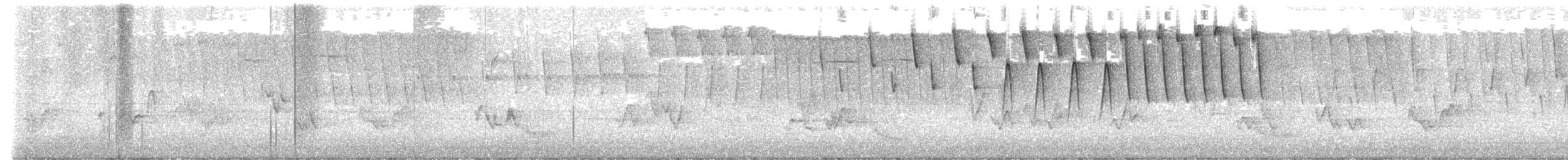 lesňáček olivový - ML638400335