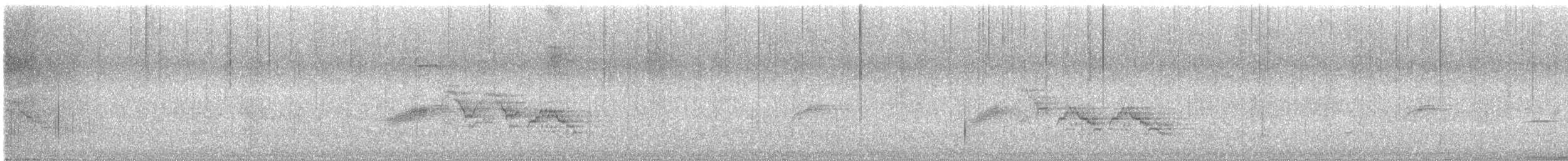 Veery - ML638401245