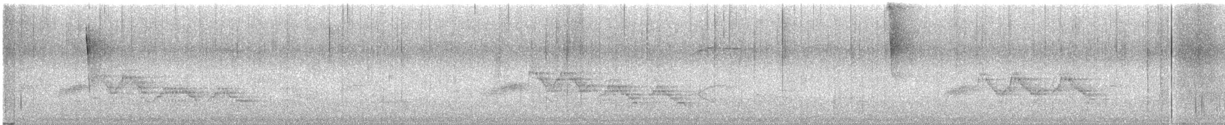 Veery - ML638401355