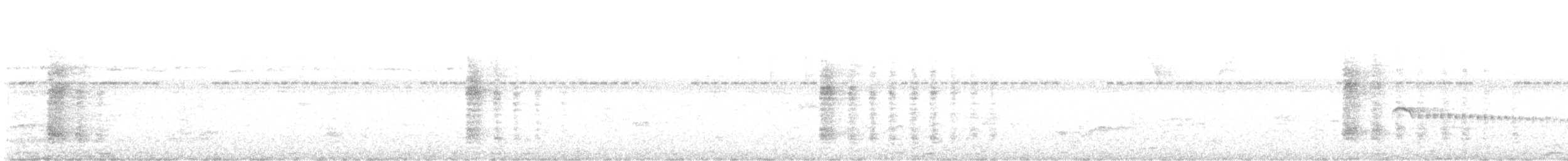 Band-backed Wren - ML638401919