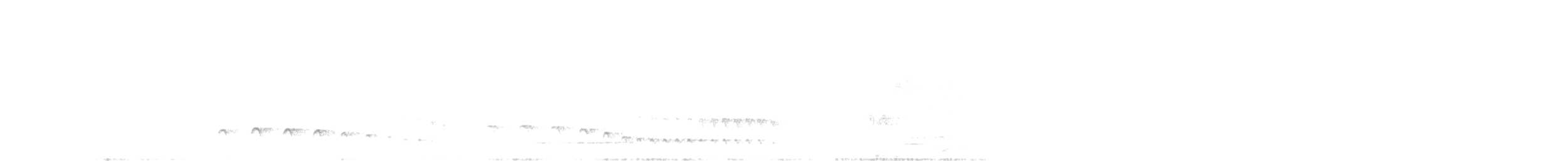 Plain Antvireo - ML638402104