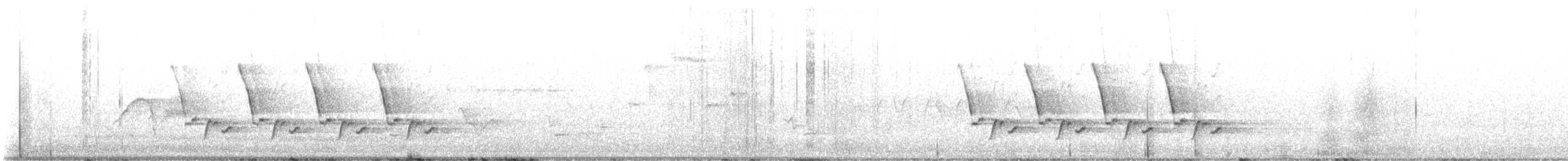 Carolina Wren - ML638402243