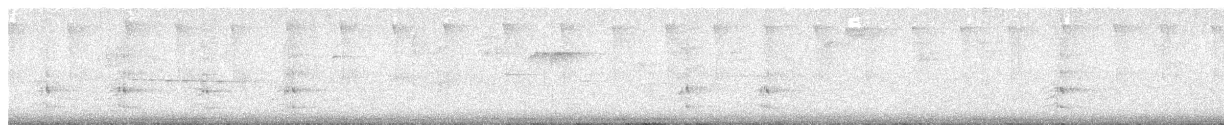 Brautente - ML638403010