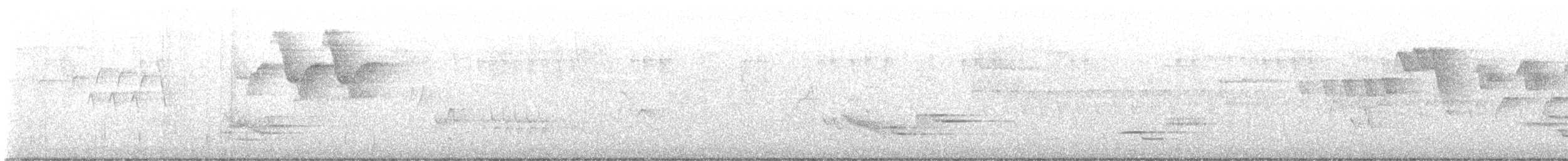 Wood Thrush - ML638404207