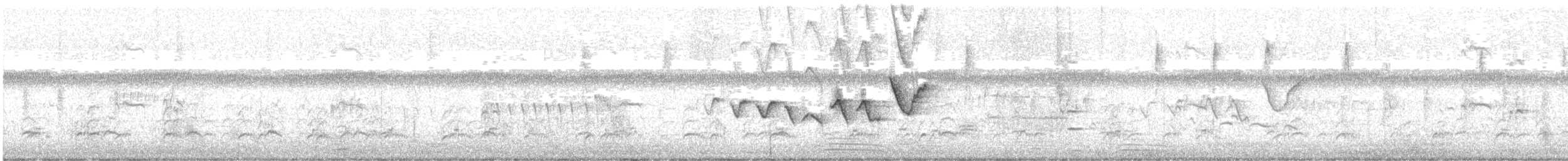 Yellow Warbler (Mangrove) - ML638404858