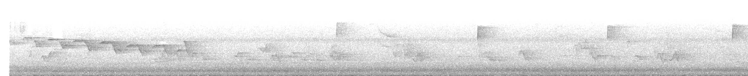 Yellow-throated Warbler - ML638405493