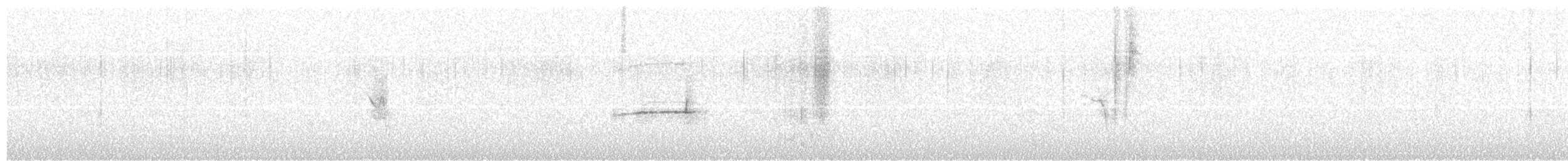 Southern Beardless-Tyrannulet - ML638405524