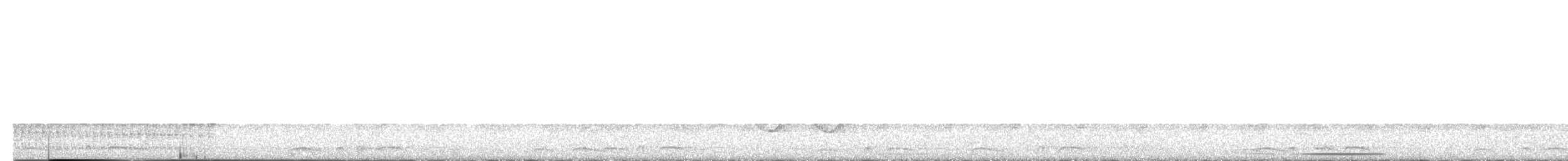 White-tipped Dove - ML638406354