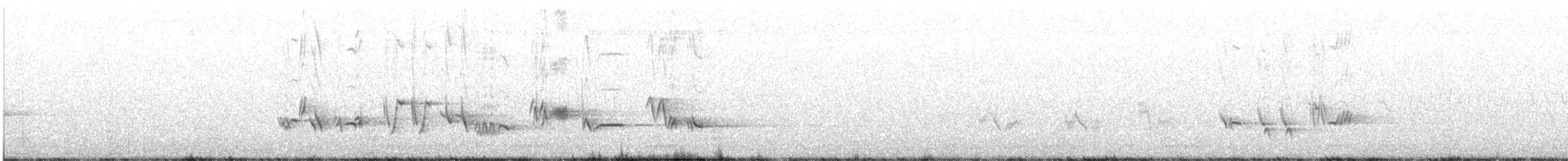 Townsend's Solitaire - ML638407265