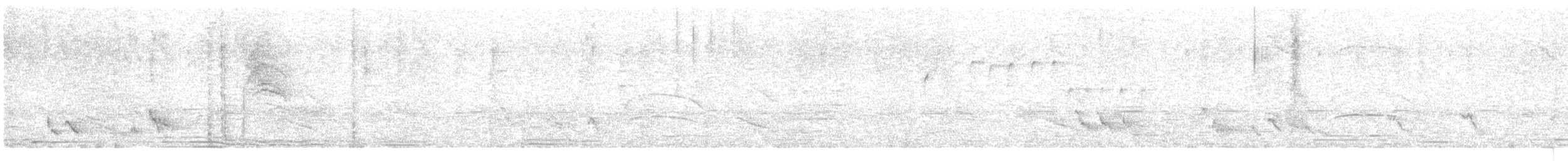 Tropical Gnatcatcher - ML638408195