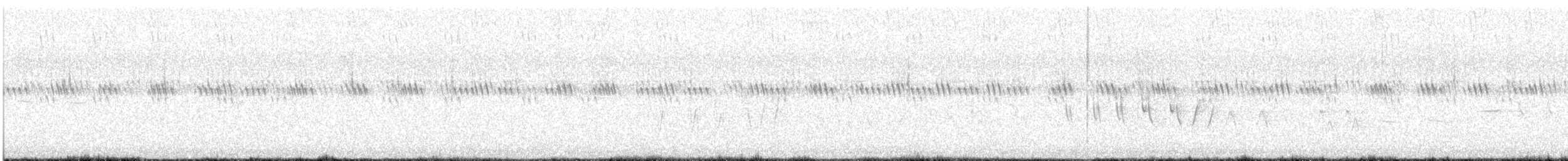 brannfeltparula - ML638408346