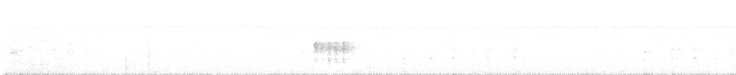 Organiste à ventre roux - ML638409530