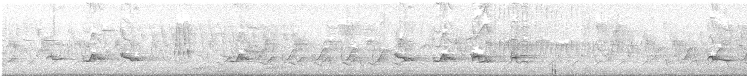 קיכלי נודד - ML638411543