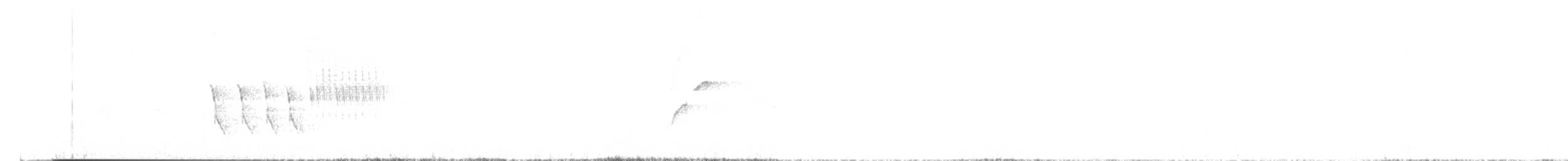 Western Flycatcher (Cordilleran) - ML638412490