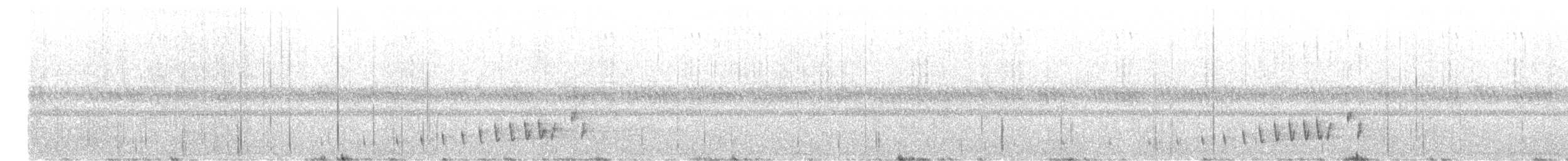 クビワヨタカ - ML638412756