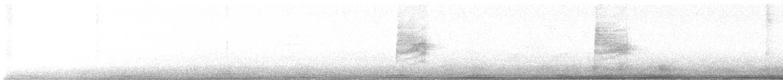 Bewick's Wren - ML638412796