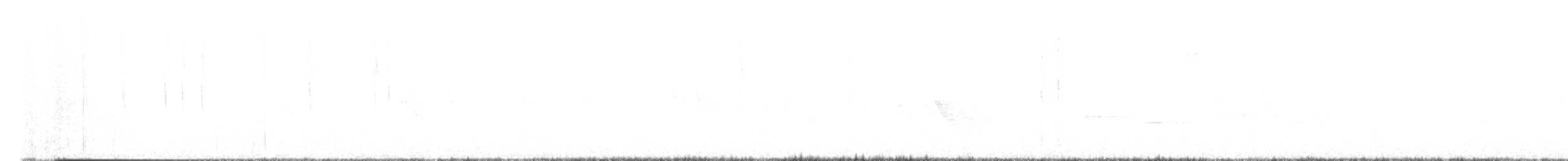Broad-tailed Hummingbird - ML638412809