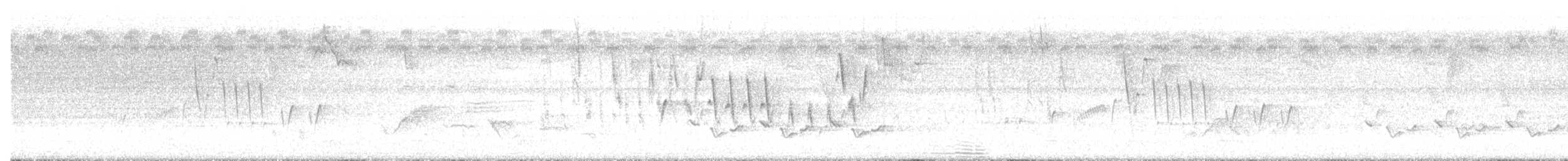 Troglodyte familier (groupe aedon) - ML638413160