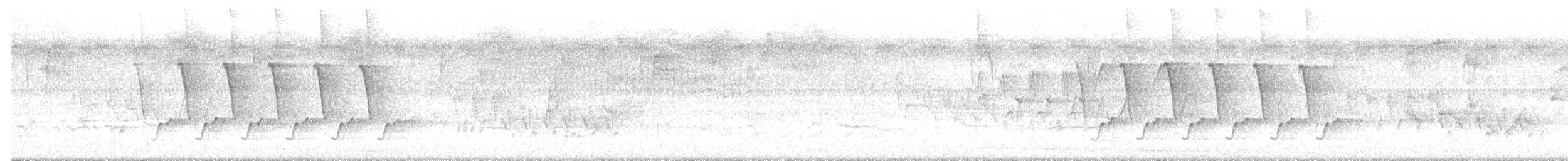 Troglodyte de Caroline - ML638413869